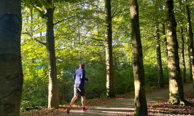 Zeist start tweede editie van ‘Heel Zeist telt mee’ voor meer biodiversiteit