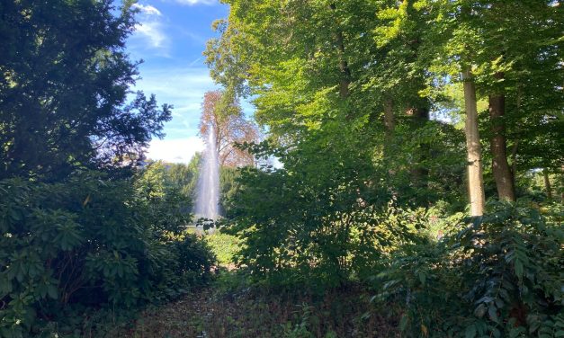 Ondanks provinciale groei is daling groen in Zeist waarschijnlijk