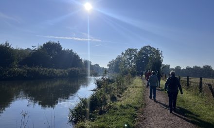 Zal de wandelgroep in Bunnik eenzaamheid verminderen?