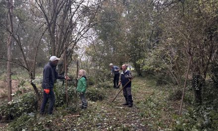 Vrijwilligers die het landschap levend houden