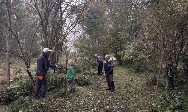 Vrijwilligers die het landschap levend houden