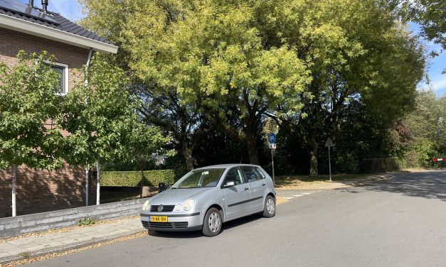 Mishandeling in Zeist zorgt voor onrust in de Filips van Bourgondiëlaan