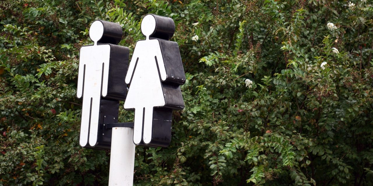 Zeist ver onderaan op ranglijst voor toiletvriendelijkheid 2025