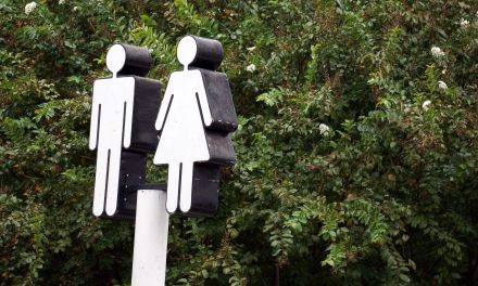 Zeist ver onderaan op ranglijst voor toiletvriendelijkheid 2025