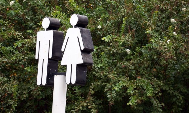 Zeist ver onderaan op ranglijst voor toiletvriendelijkheid 2025