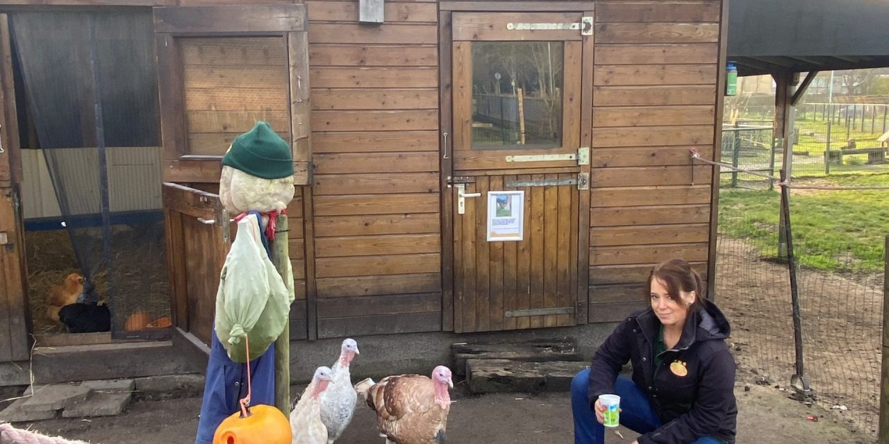 Kinderboerderij de Brink treft maatregelen voor vogelgriep: ‘Aan dieren ruimen moet ik niet denken’