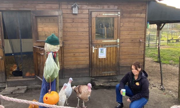 Kinderboerderij de Brink treft maatregelen voor vogelgriep: ‘Aan dieren ruimen moet ik niet denken’