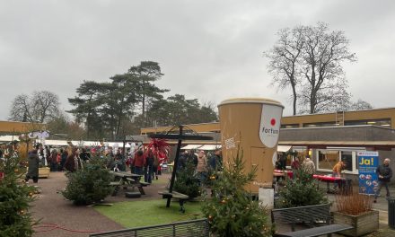 De kerstmarkt van Reinaerde is toegankelijk voor iedereen