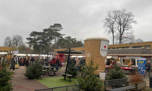 De kerstmarkt van Reinaerde is toegankelijk voor iedereen