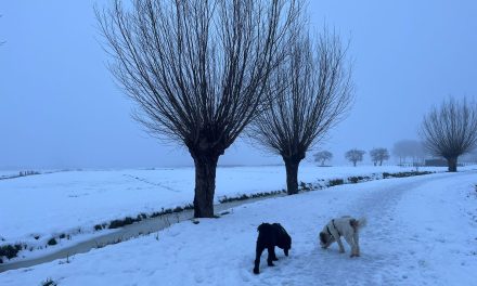 Hoe beïnvloeden de hevige sneeuwbuien de bewoners van Alblasserdam?