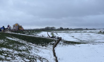 Sneeuw legt werkzaamheden Lekdijk tussen Wijk bij Duurstede en Amerongen tijdelijk stil