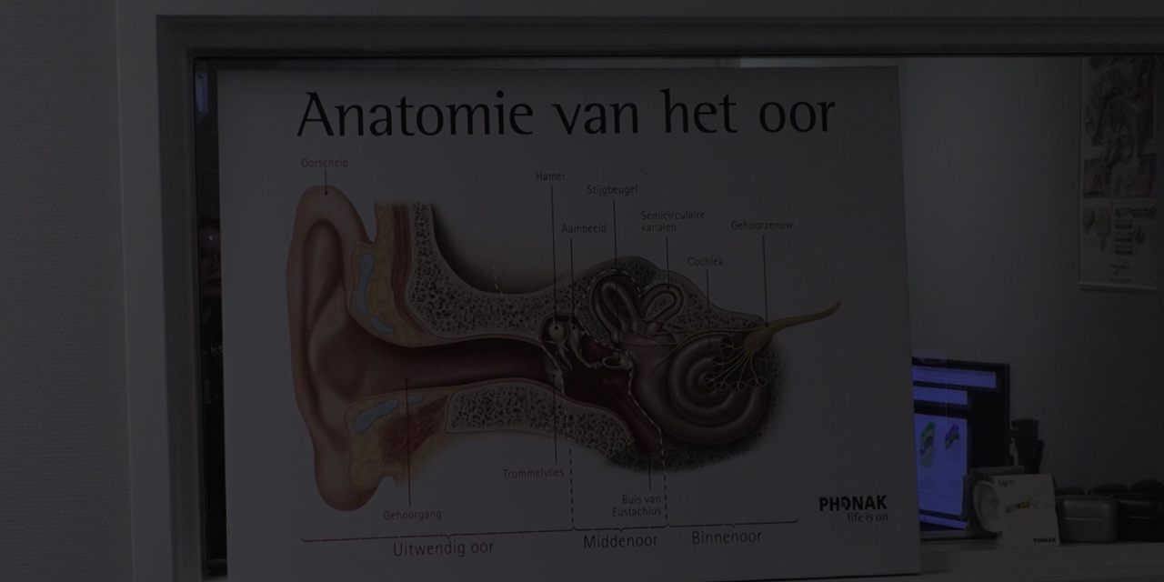 World Hearing Day vraagt aandacht voor gehoorschade