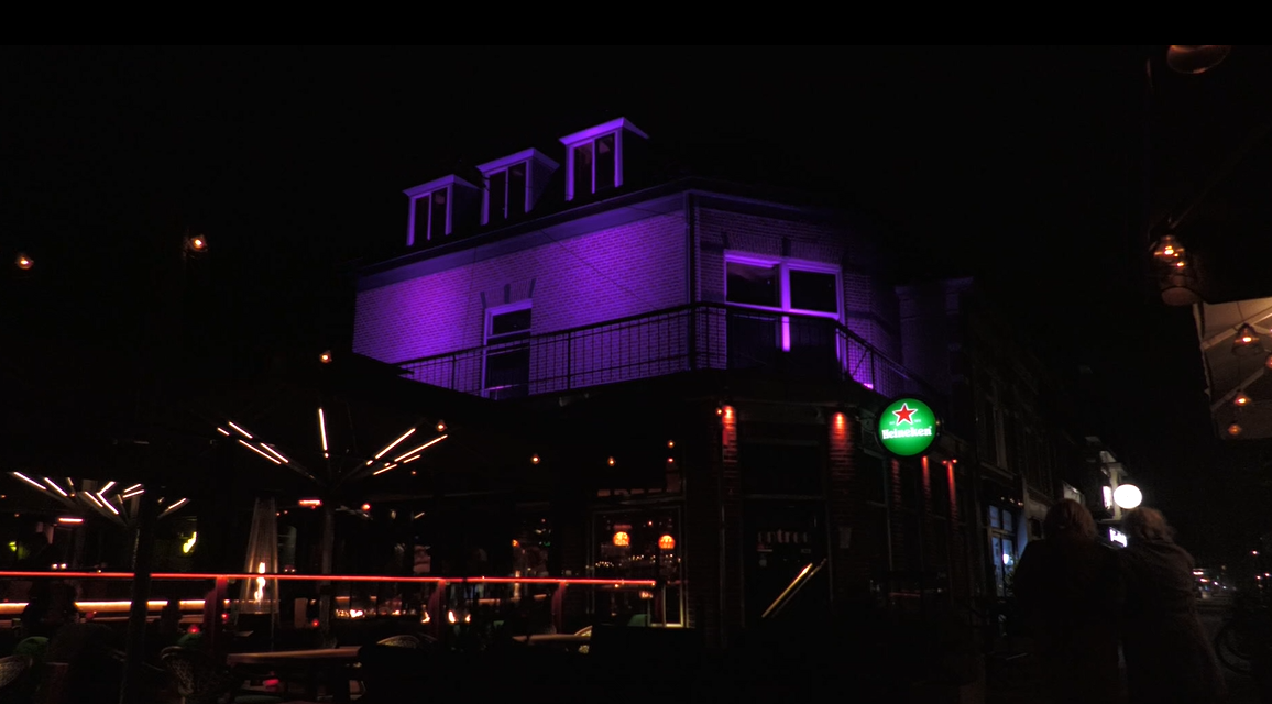 Paarse Power Parade in Zeist