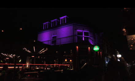 Paarse Power Parade in Zeist