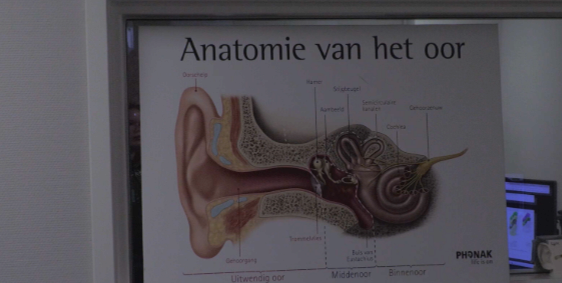 World Hearing Day vraagt aandacht voor gehoorschade