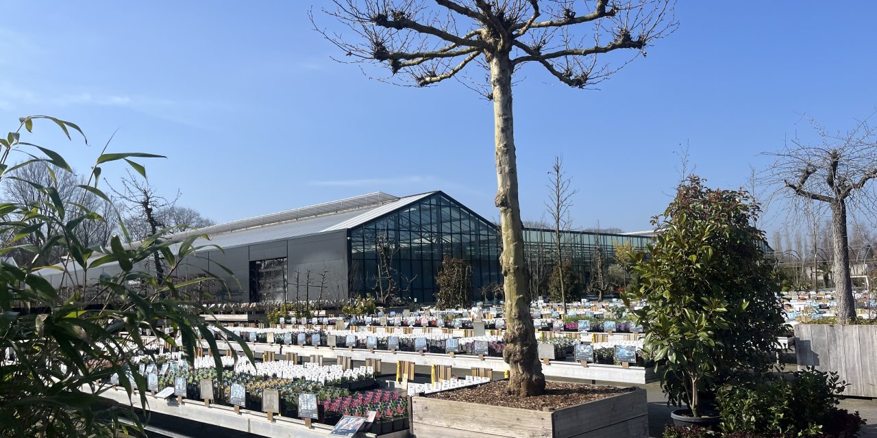 Nieuwe warmte records verbroken: Een vroege start van de lente