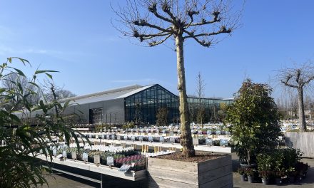 Nieuwe warmte records verbroken: Een vroege start van de lente