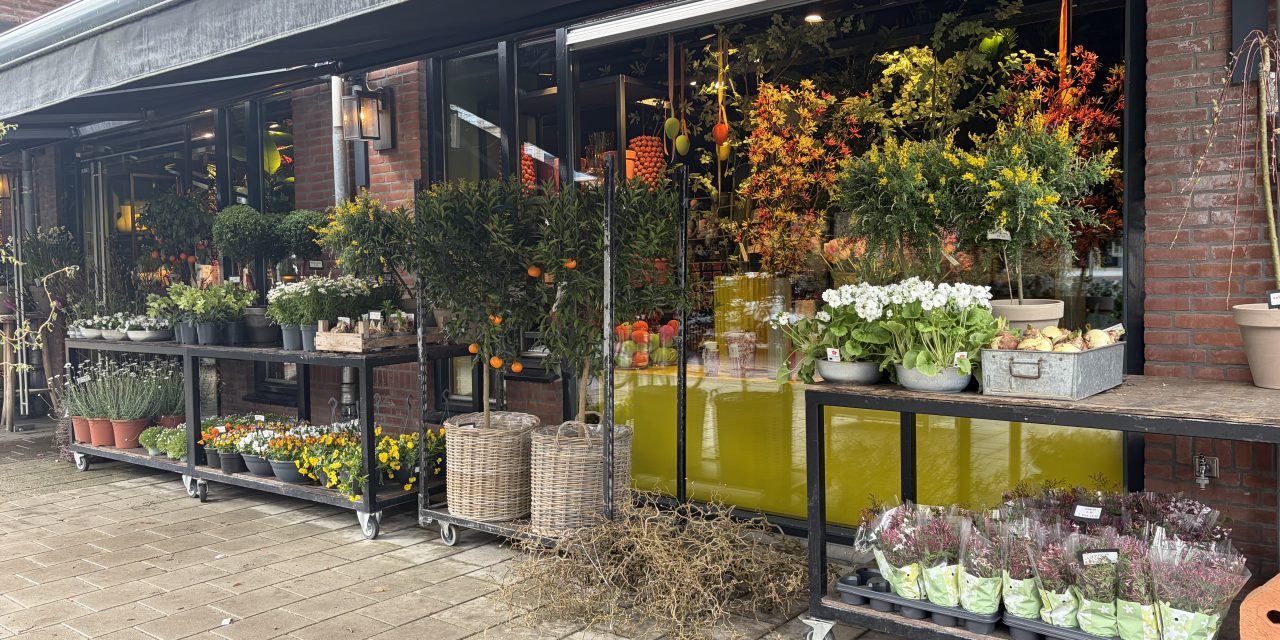 Gratis bloemenzaadjes en volle boeketten: lente zichtbaar in Zeist