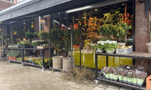 Gratis bloemenzaadjes en volle boeketten: lente zichtbaar in Zeist