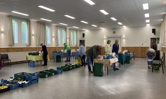 Bio in het bos blijft groeien, terwijl biologisch eten ook in de supermarkt ligt